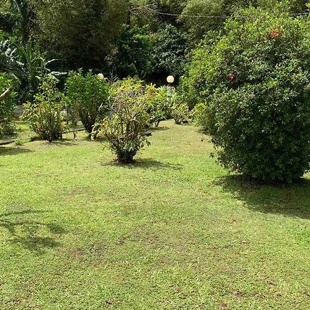 972B-Coin De Verdure Au Pied De La Montagne Pelee Le Morne-Rouge Exterior photo