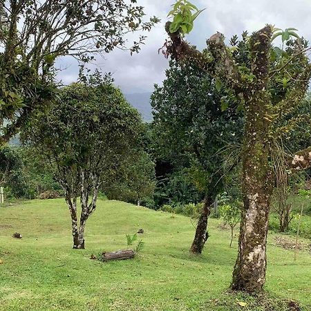 972B-Coin De Verdure Au Pied De La Montagne Pelee Le Morne-Rouge Exterior photo