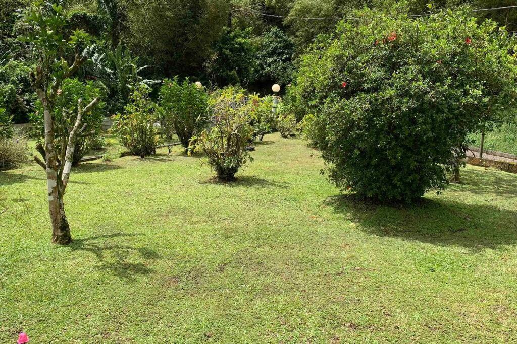 972B-Coin De Verdure Au Pied De La Montagne Pelee Le Morne-Rouge Exterior photo