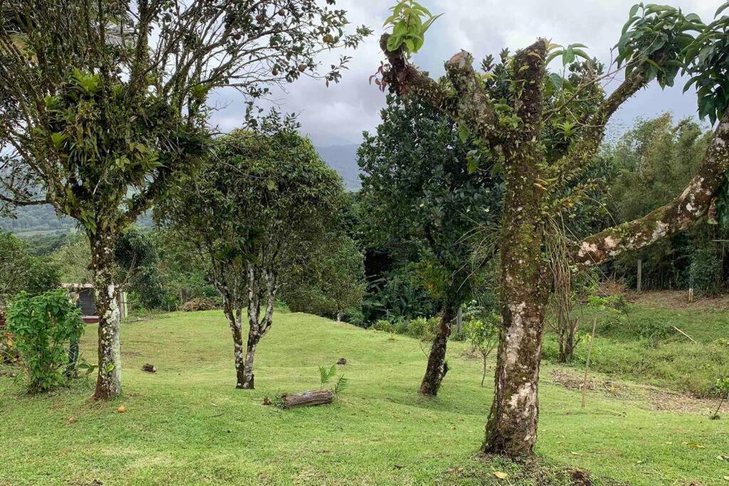 972B-Coin De Verdure Au Pied De La Montagne Pelee Le Morne-Rouge Exterior photo
